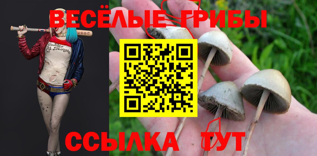 Галлюциногенные грибы Magic Shrooms  Вход с VPN  Ярославль 